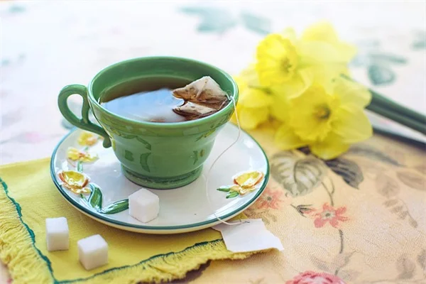 【保存版】常緑樹の剪定でよくある失敗5選!初心者でも失敗しない正しい剪り方のコツを解説