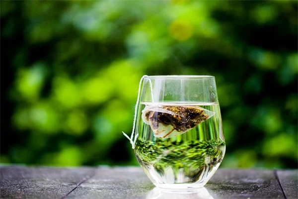 庭でよく見る侵略的ツル植物7種 – 見分けて駆除する方法