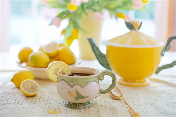 段ボールで芝生を枯らす方法：3～5ヶ月で完了する簡単なコツ