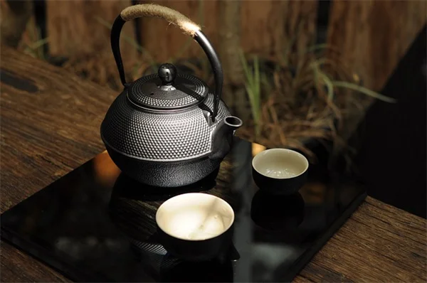 レース状の葉の観葉植物5選！室内で育てるコツと失敗しない品種の選び方